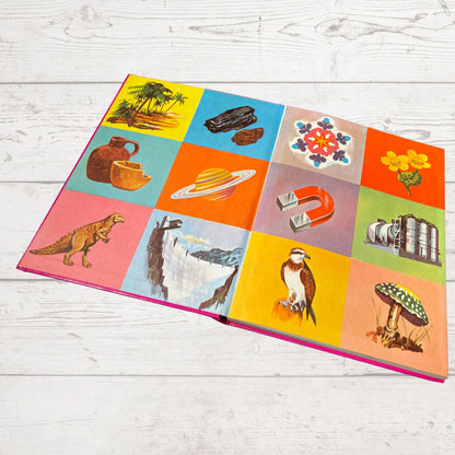 Vintage 1970s Children's Book: Our World  - Beautifully Illustrated Colourful Hardback Encyclopaedia