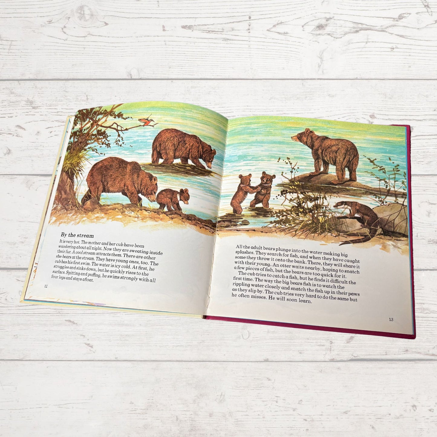 Vintage 1970s Children's Book: The Bear - Beautifully Illustrated Educational Hardback Animal & Nature Facts