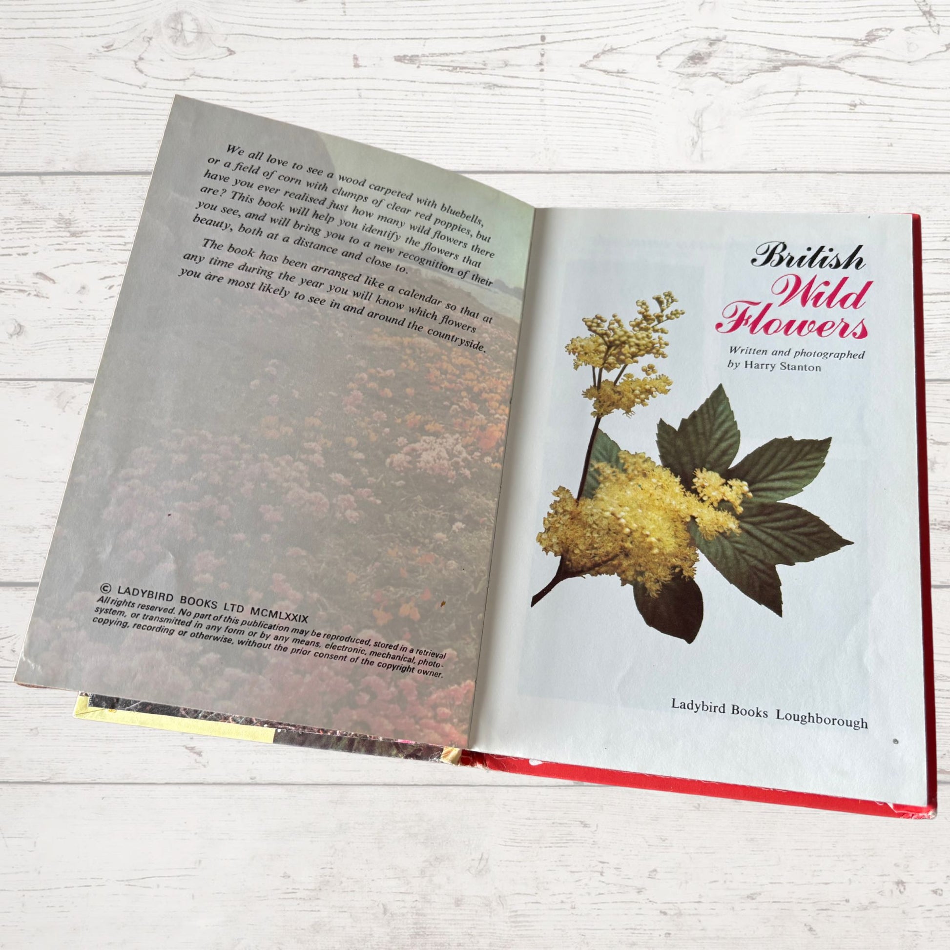 1979 vintage British wild flowers ladybird guide book 