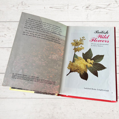 1979 vintage British wild flowers ladybird guide book 