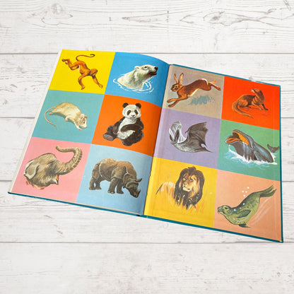 Vintage 1960s Children's Book: Wildlife - Beautifully Illustrated Colourful Hardback Encyclopaedia