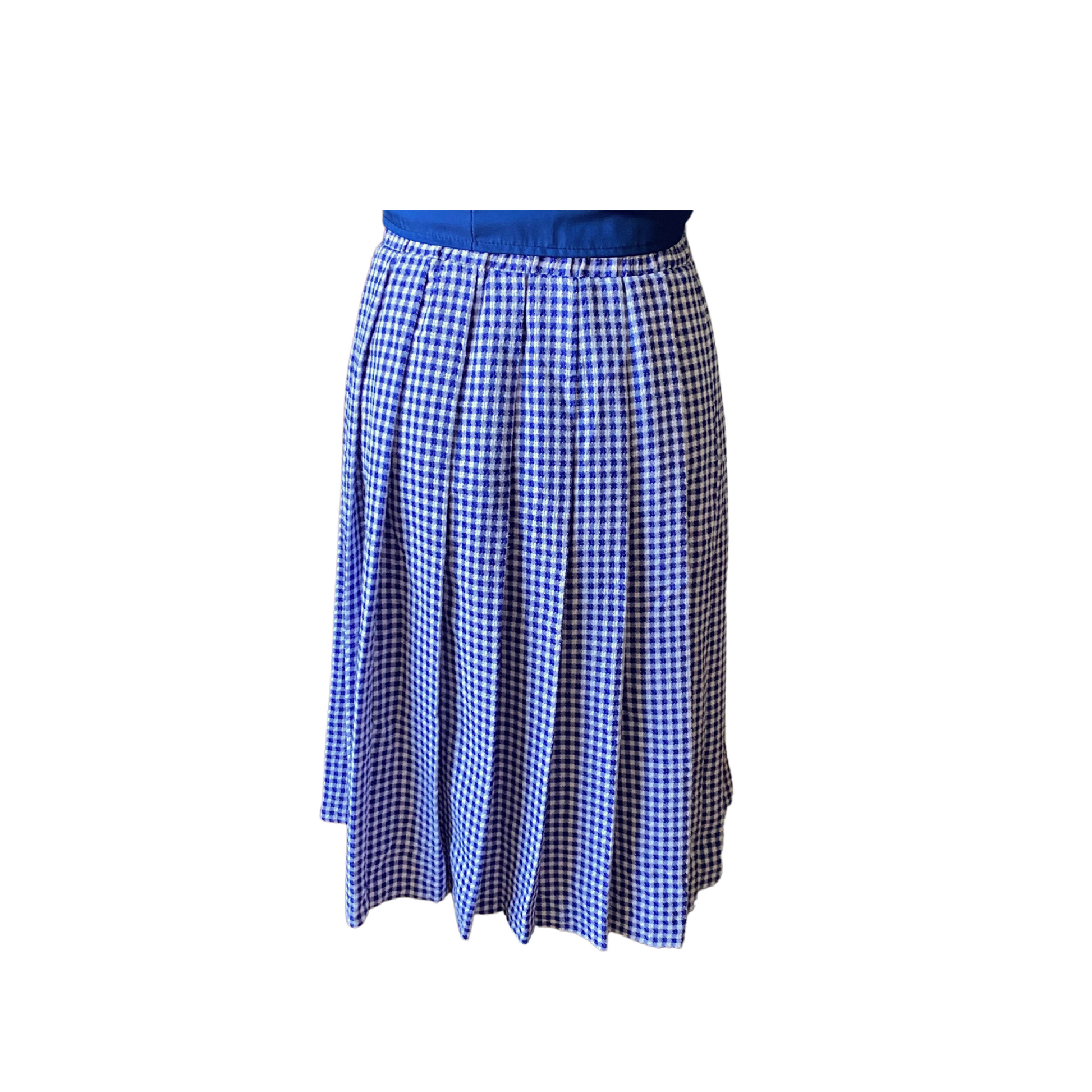 Pleated rayon blend skirt - perfect blend of comfort and style Back view 