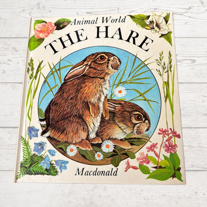 Vintage 1970s Children's Book: The Hare   - Beautifully Illustrated Educational Hardback Animal  & Nature Facts