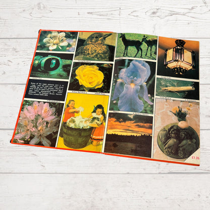 Vintage Judy Annual 1981, full of fiction, fun activities and nostalgia. Great gift idea