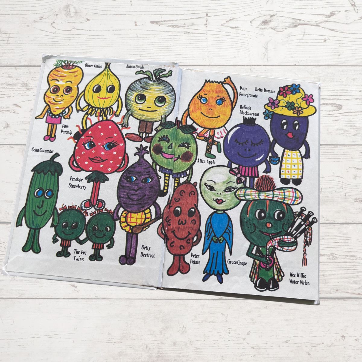 Colourfully illustrated childrens book on a white surface 