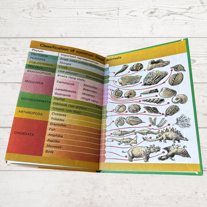 Prehistoric Animals and Fossils. 1970s Vintage Ladybird Book. Series 651