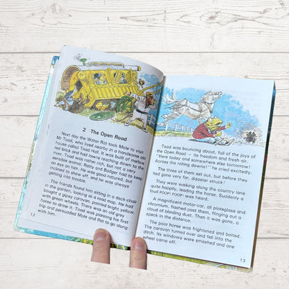 The Wind in the Willows.Ladybird Children’s Classics Vintage Book .Series 740. Nostalgic gift idea