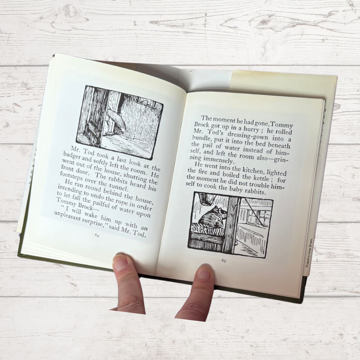 Open book with illustrations and text on a wooden surface