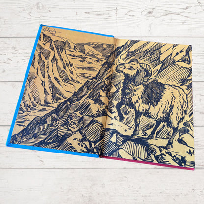 Vintage 1970s ladybird book, The Parable of The Lost Sheep . Series 606A