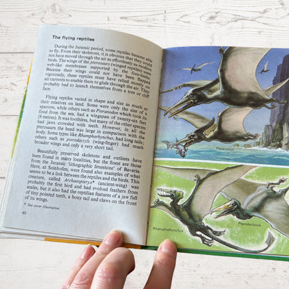 Prehistoric Animals and Fossils. 1970s Vintage Ladybird Book. Series 651