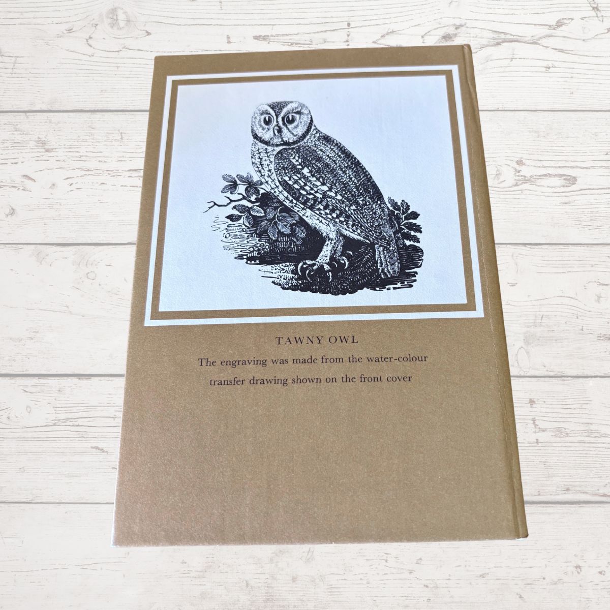 Bird guide with tawny owl illustration on a light wooden surface