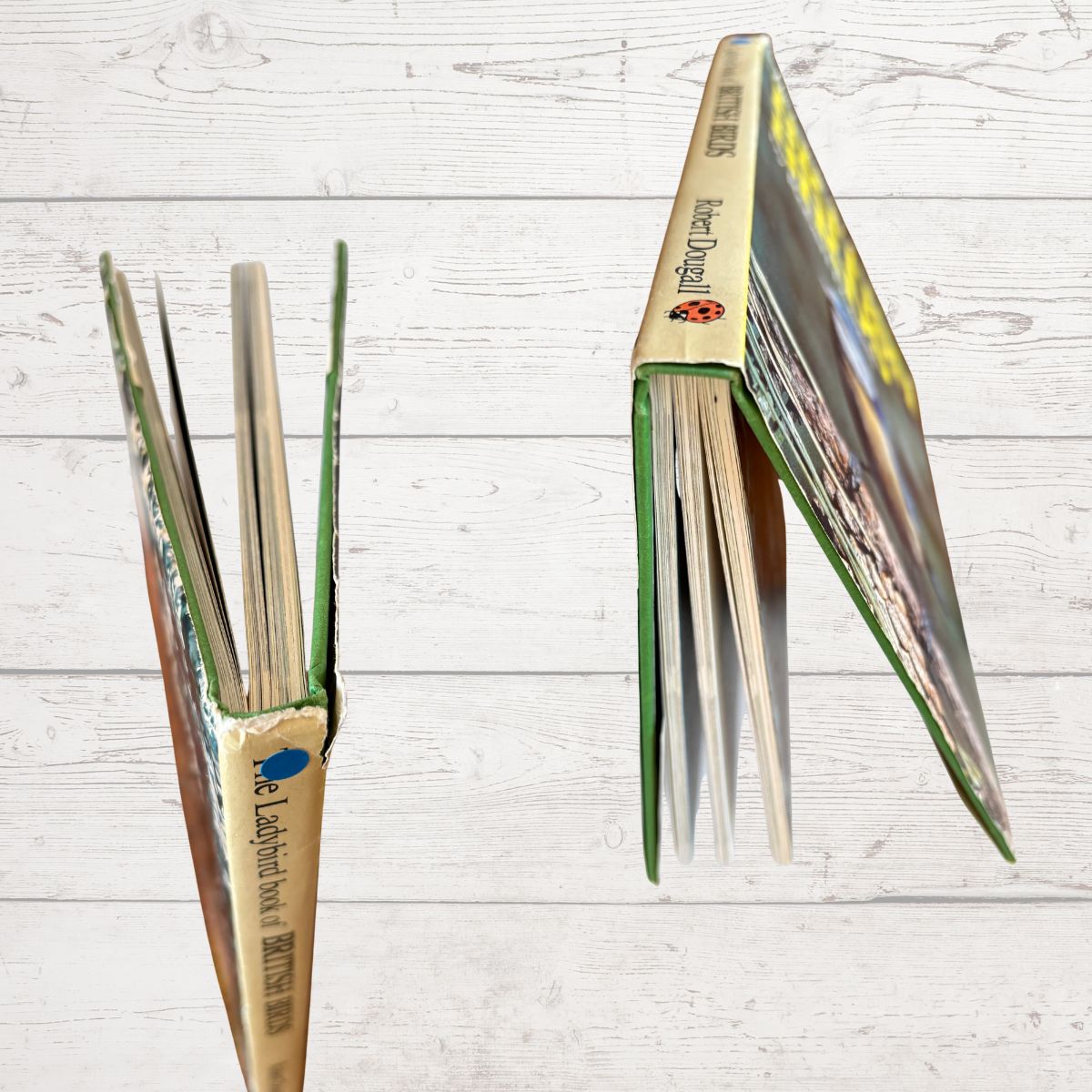 Close up of the book spine on a light wooden surface