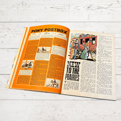 Vintage Diana Annual 1970, full of fiction, fashion, fun and nostalgia. Great gift idea