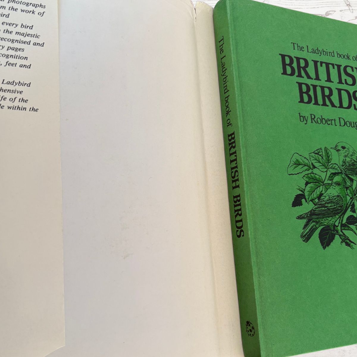 Green book titled 'The Ladybird Book of British Birds' on a white background