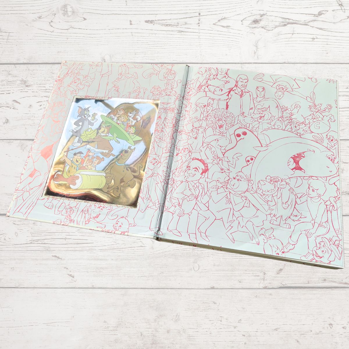 Open book with illustrations on a light wooden surface