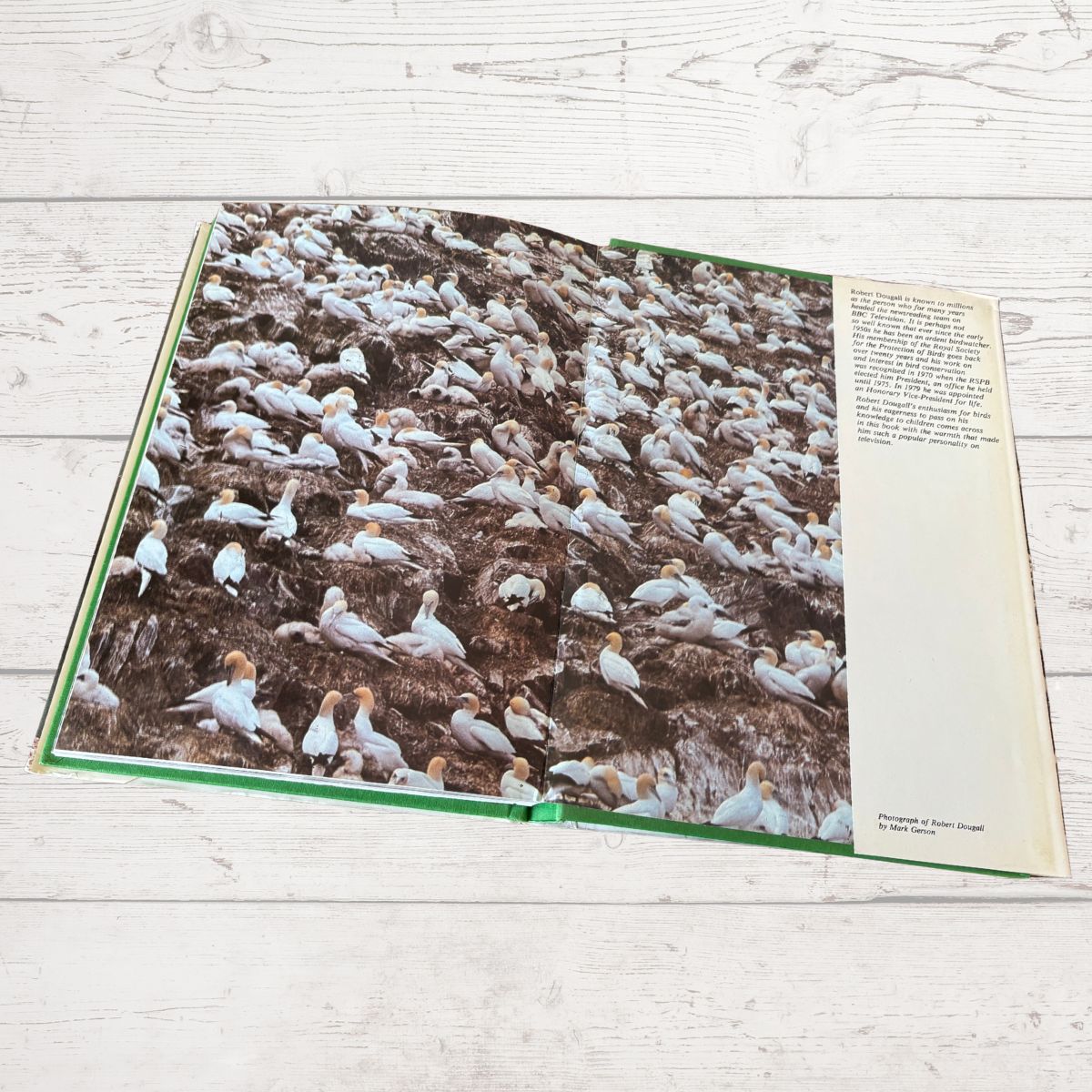 Inside book cover with bird photograph 