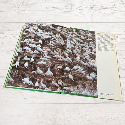 Inside book cover with bird photograph 