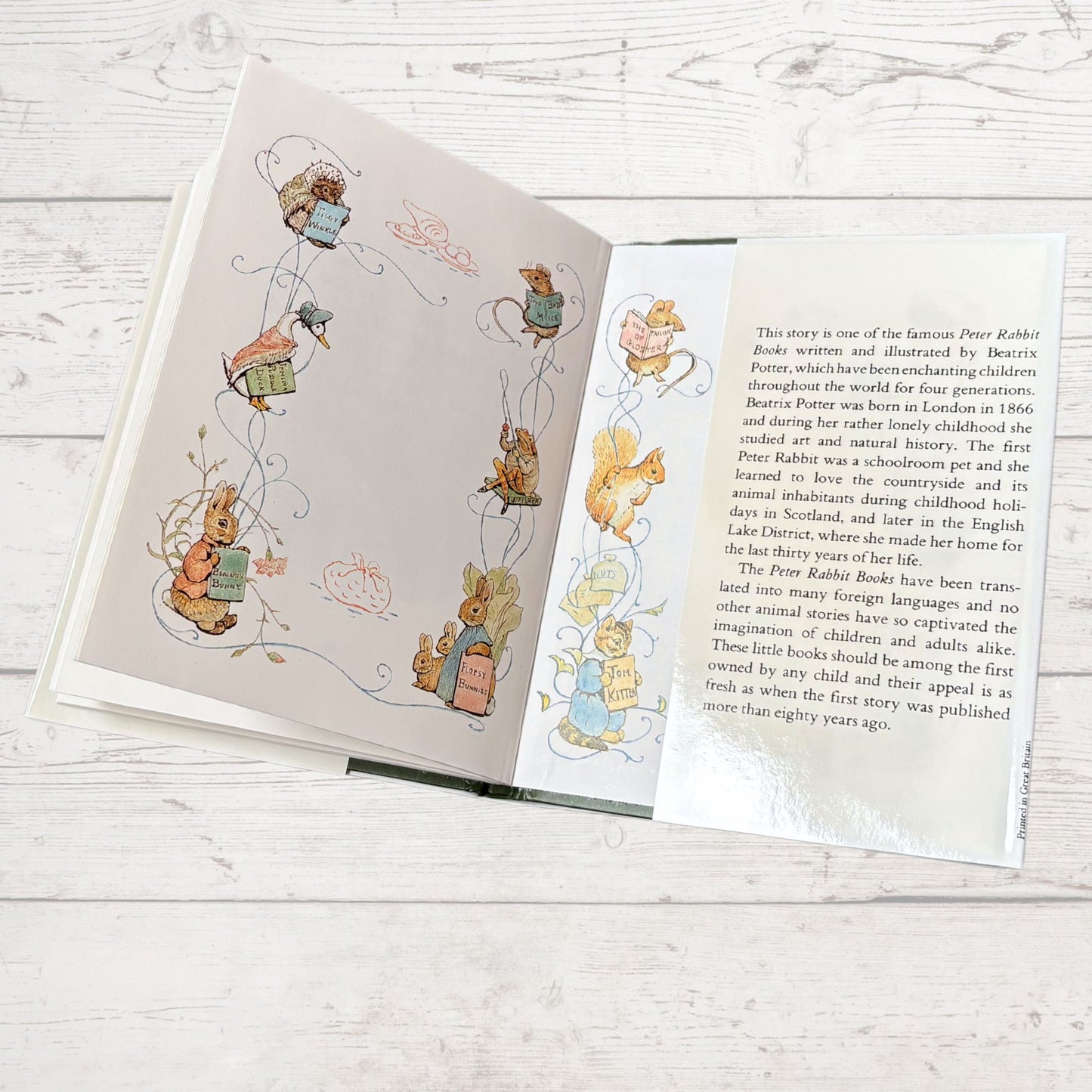 The Tale of Squirrel Nutkin. Vintage Beatrix Potter Book. 1989 edition. Great Gift Idea