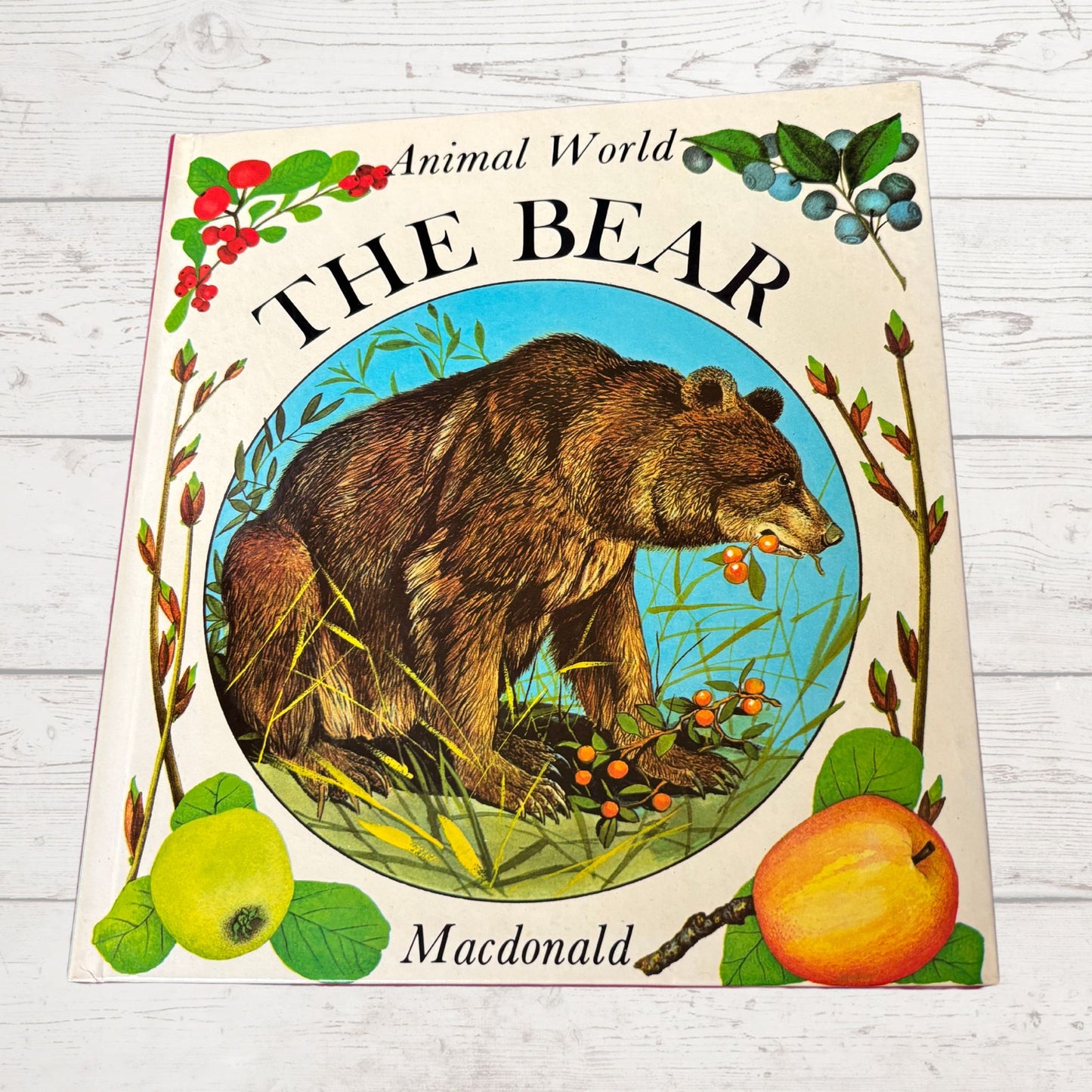 Vintage 1970s Children's Book: The Bear - Beautifully Illustrated Educational Hardback Animal & Nature Facts