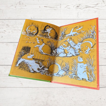 Hannibal on the farm. 1970s Vintage Ladybird Book. Series 497. Great gift idea