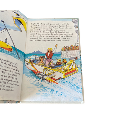 Illustrated by Robin Davies - He-Man Masters of the Universe book