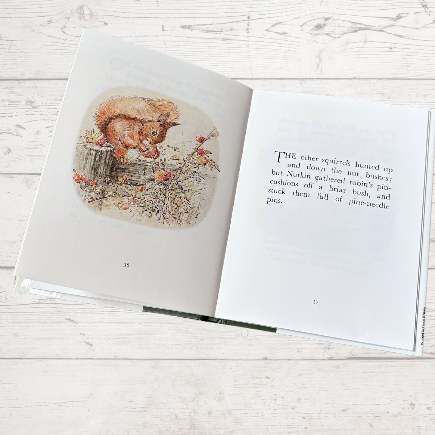 The Tale of Squirrel Nutkin. Vintage Beatrix Potter Book. 1989 edition. Great Gift Idea