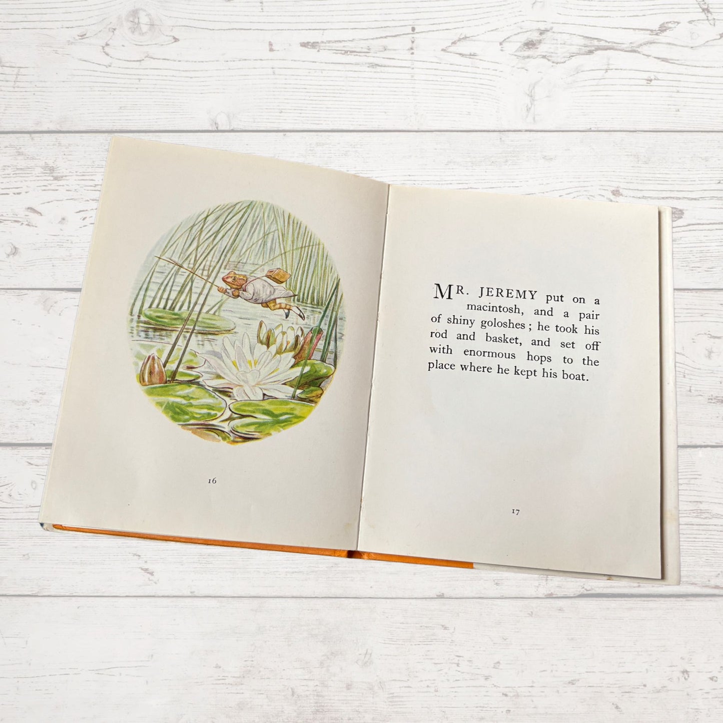 The Tale of Mr. Jeremy Fisher. Vintage Beatrix Potter book. 1971 edition