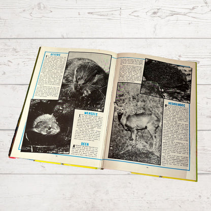 Vintage Bunty For Girls Annual 1986 , full of fiction, activities, cute animals and fun. Great gift idea