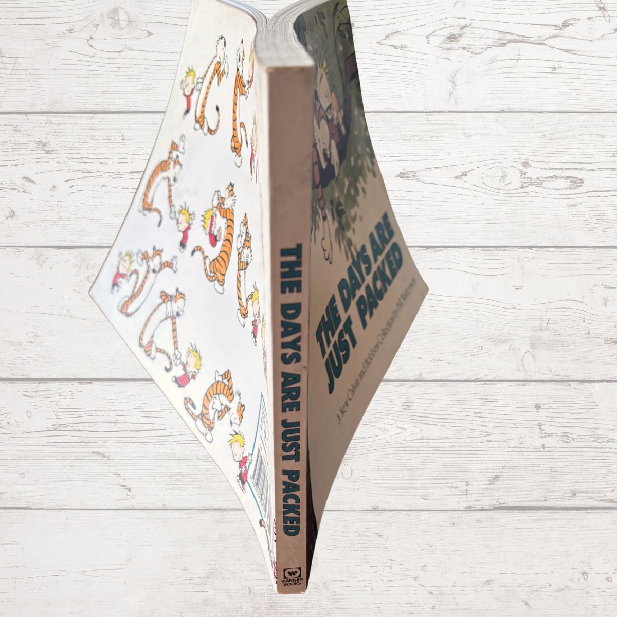 Open book with cartoon characters on a wooden surface
