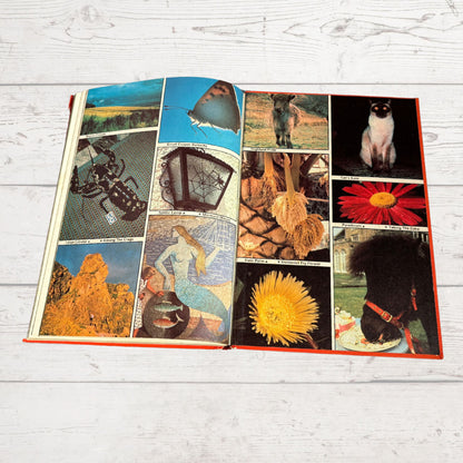 Vintage Judy Annual 1981, full of fiction, fun activities and nostalgia. Great gift idea