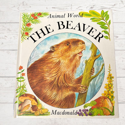 Vintage 1970s Children's Book: The Beaver  - Beautifully Illustrated Educational Hardback Animal & Nature Facts