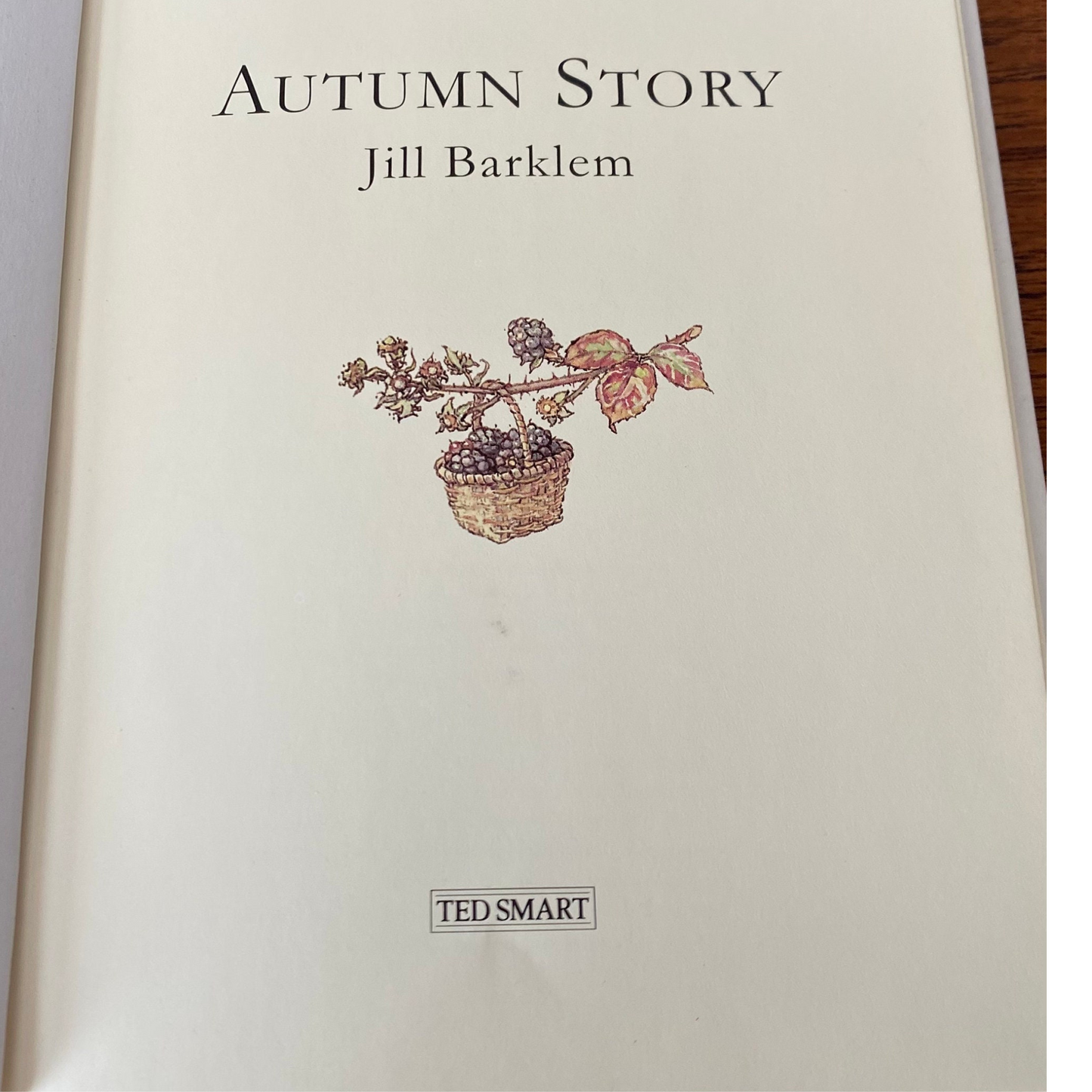 Brambly Hedge, Autumn Story  by Jill Barklem. 1995 edition. Vintage  children’s hardback picture book. Great gift idea