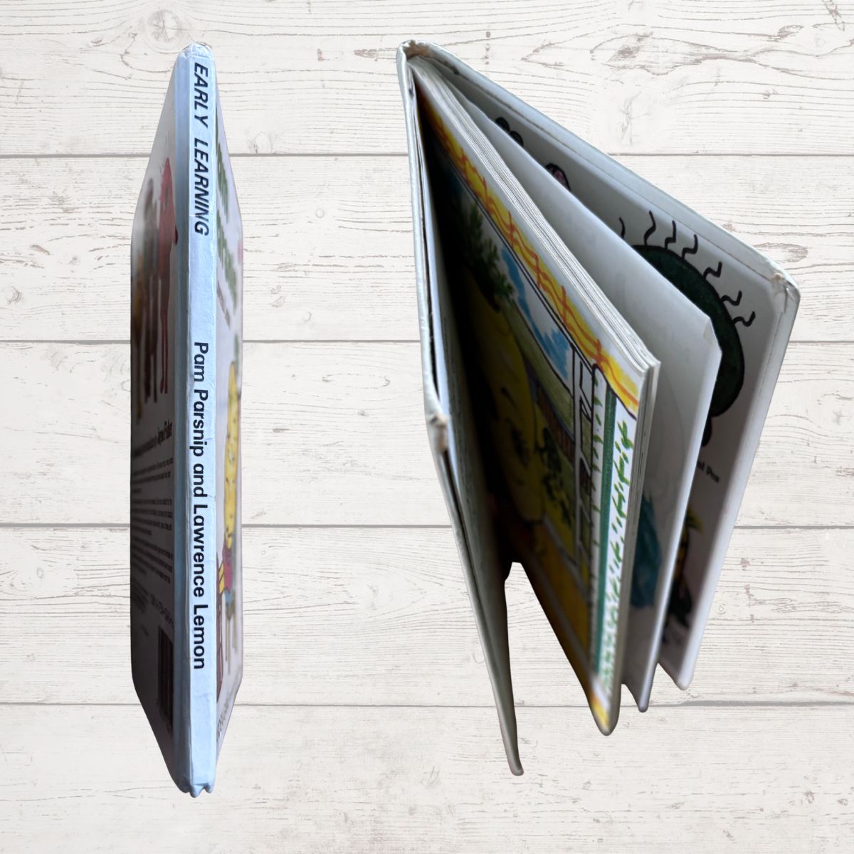  book spine  with visible pages on a light wooden surface