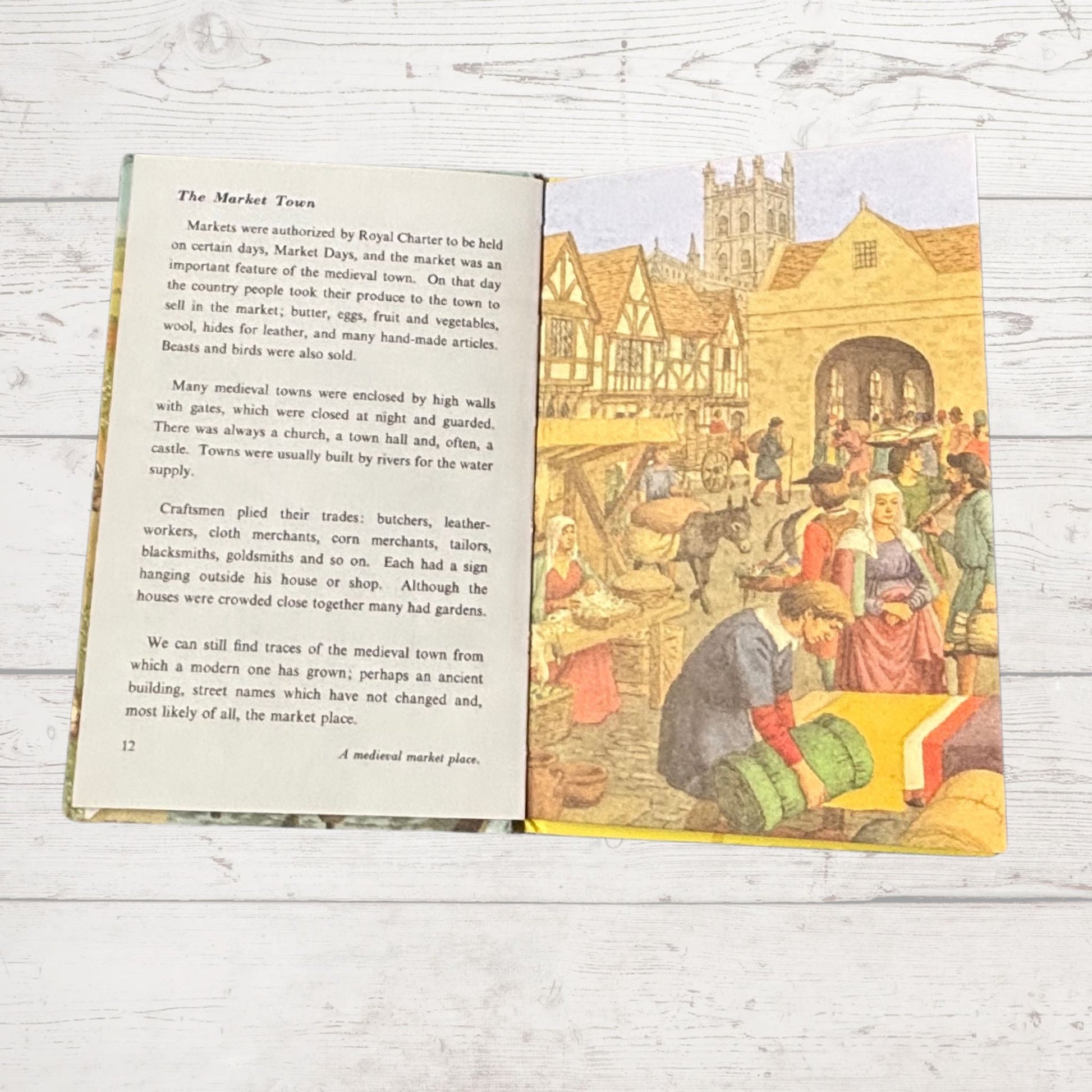 Vintage 1966 ladybird book with illustrations 