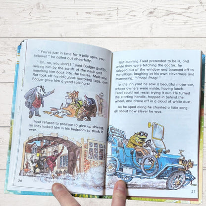 The Wind in the Willows.Ladybird Children’s Classics Vintage Book .Series 740. Nostalgic gift idea