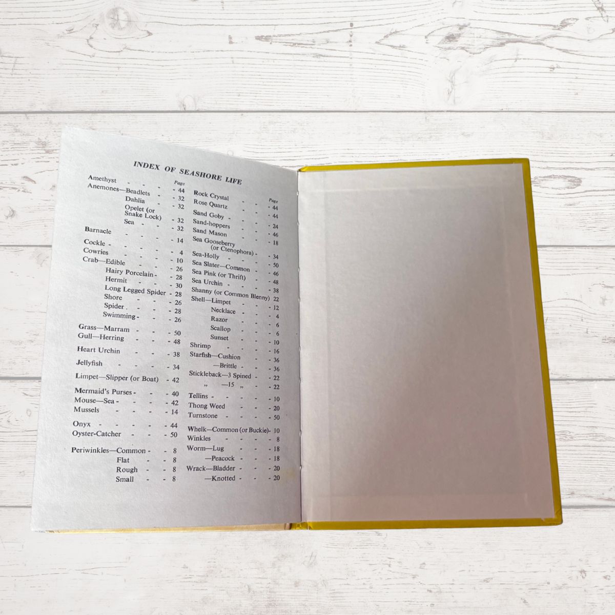 Open book with an index on a wooden surface