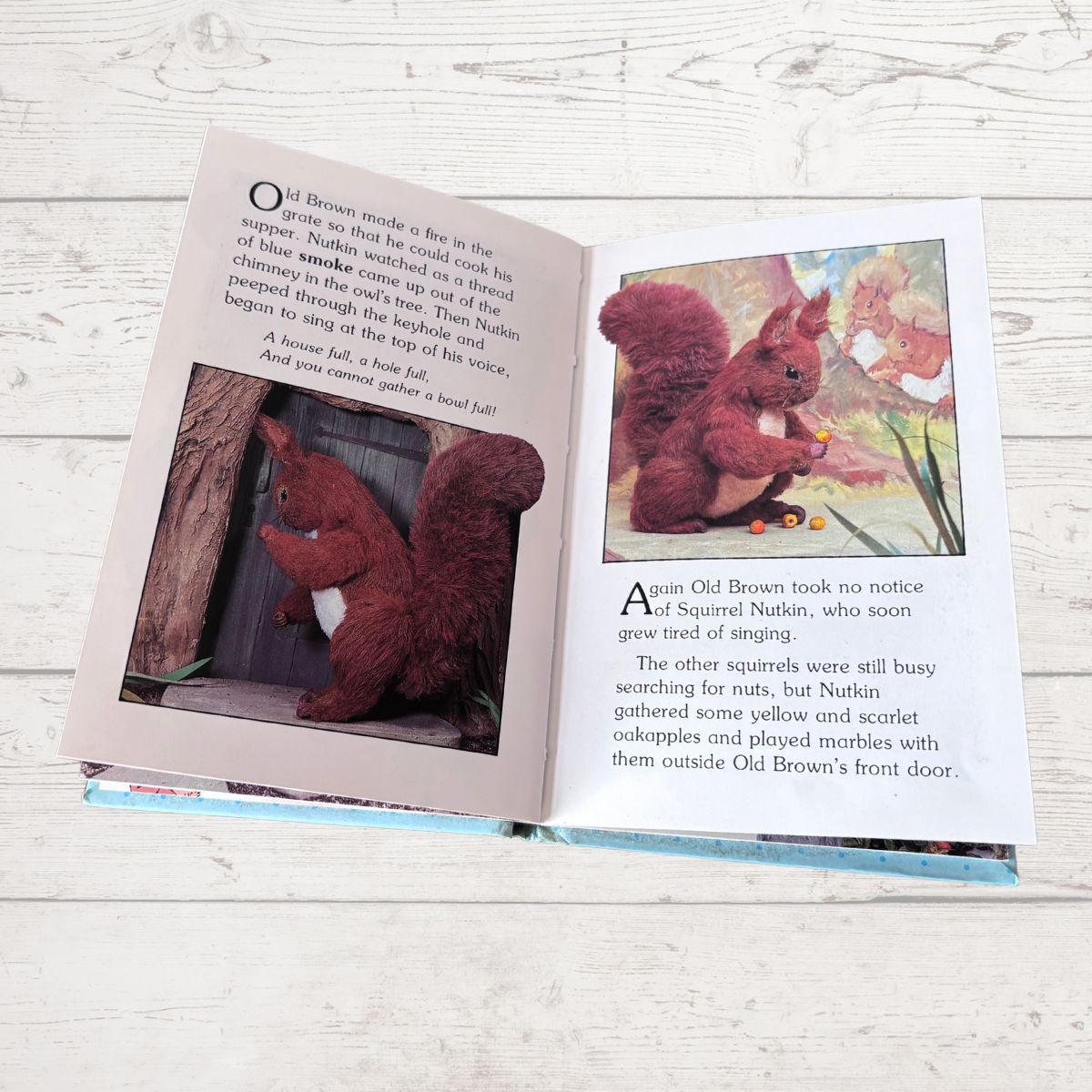 Open book with illustrations of a red squirrel on a wooden surface