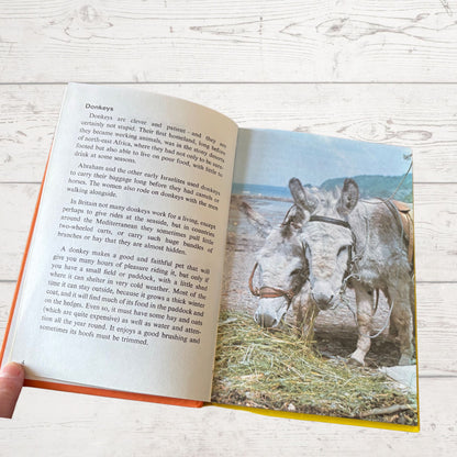 Pets. 1970s Ladybird Learnabout Book. Series 633. Great Gift Idea