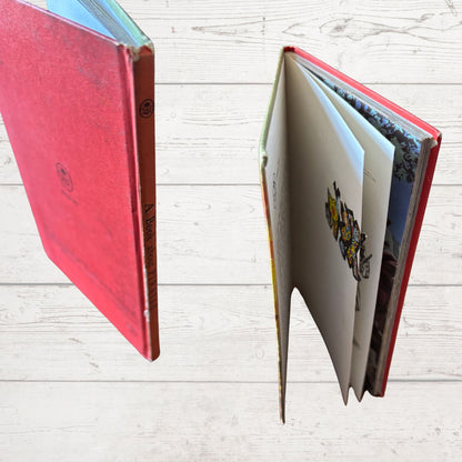 A Ladybird Book about Pirates.Vintage 1970s Book. Series 707. Great Gift Idea