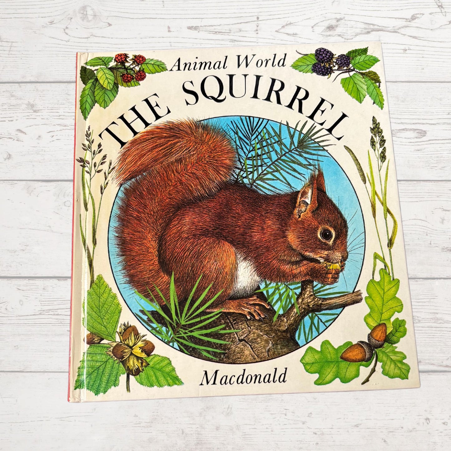 Vintage 1970s Children's Book: The Squirrel  - Beautifully Illustrated Educational Hardback Animal & Nature Facts