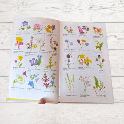 A Hand Guide to the Wild Flowers of Britain and Northern Europe. Great Gift Idea