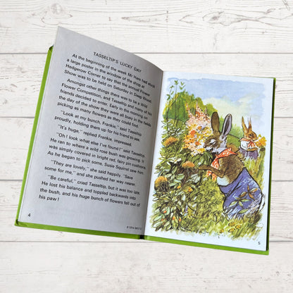 Tasseltip has a Lucky Day. 1970s Vintage Ladybird Book. Series 497. Great gift idea