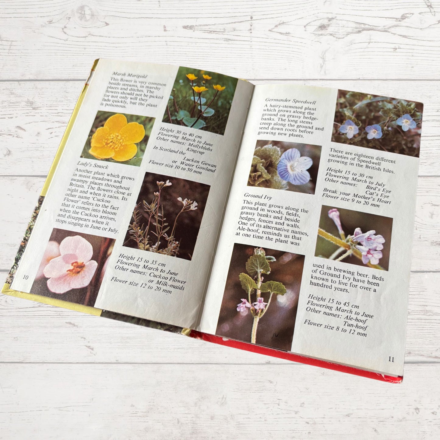 British Wild Flowers. 1970s Vintage Ladybird Book. Series 727. Great Gift Idea