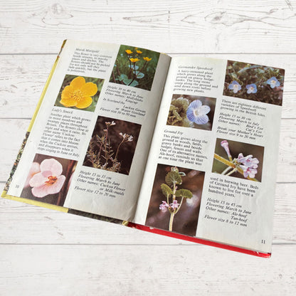 British Wild Flowers. 1970s Vintage Ladybird Book. Series 727. Great Gift Idea
