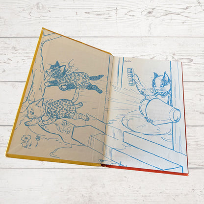 Smoke and Fluff. A Ladybird Book. Vintage 1970s hardback book. Series 401