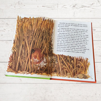 Hannibal on the farm. 1970s Vintage Ladybird Book. Series 497. Great gift idea