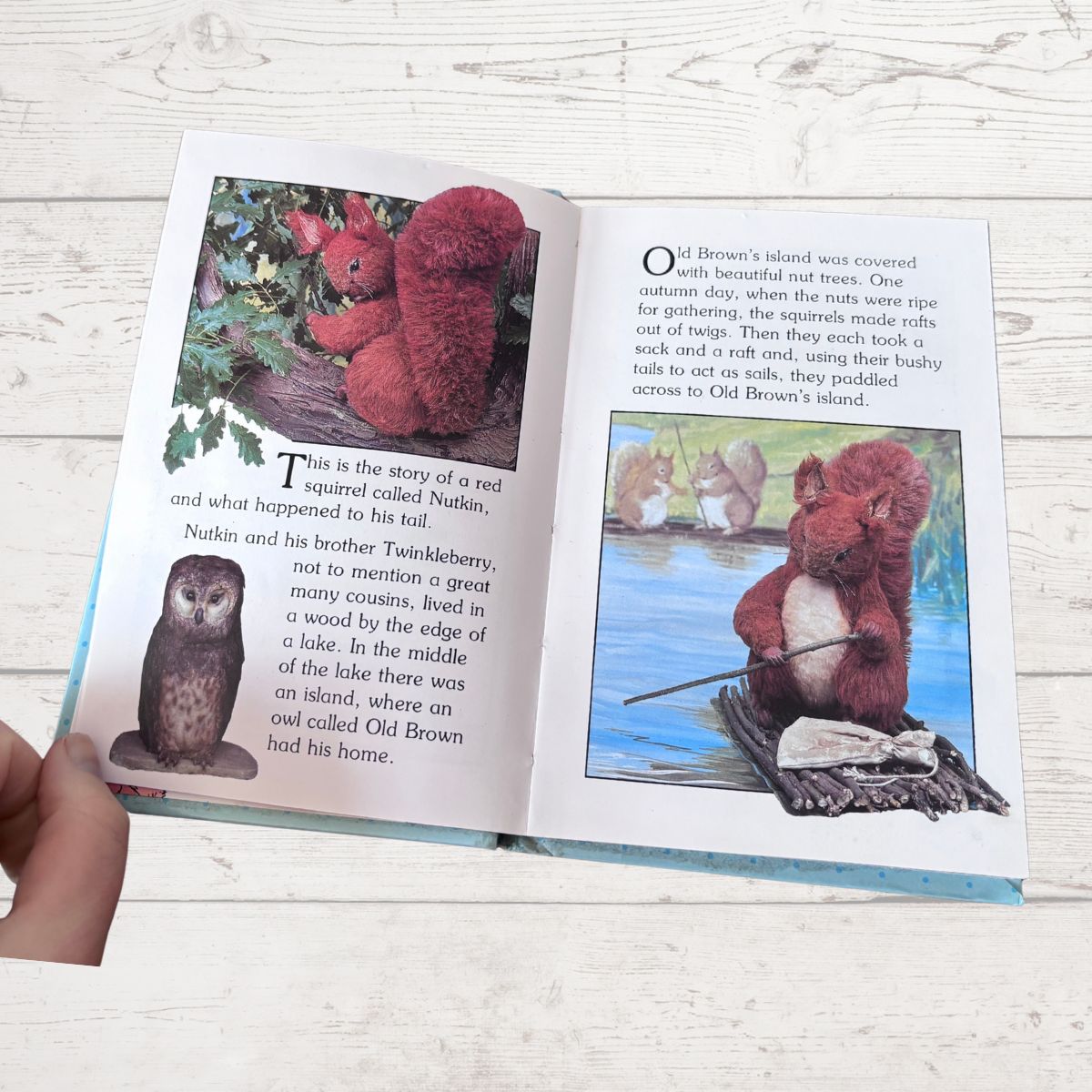 Open book with illustrations of a red squirrel and an owl on a wooden surface.