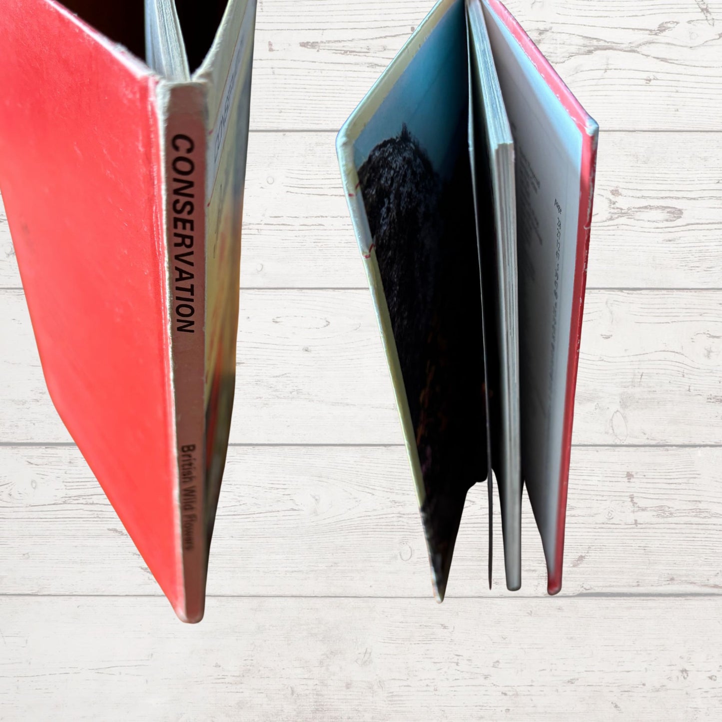 British Wild Flowers. 1970s Vintage Ladybird Book. Series 727. Great Gift Idea