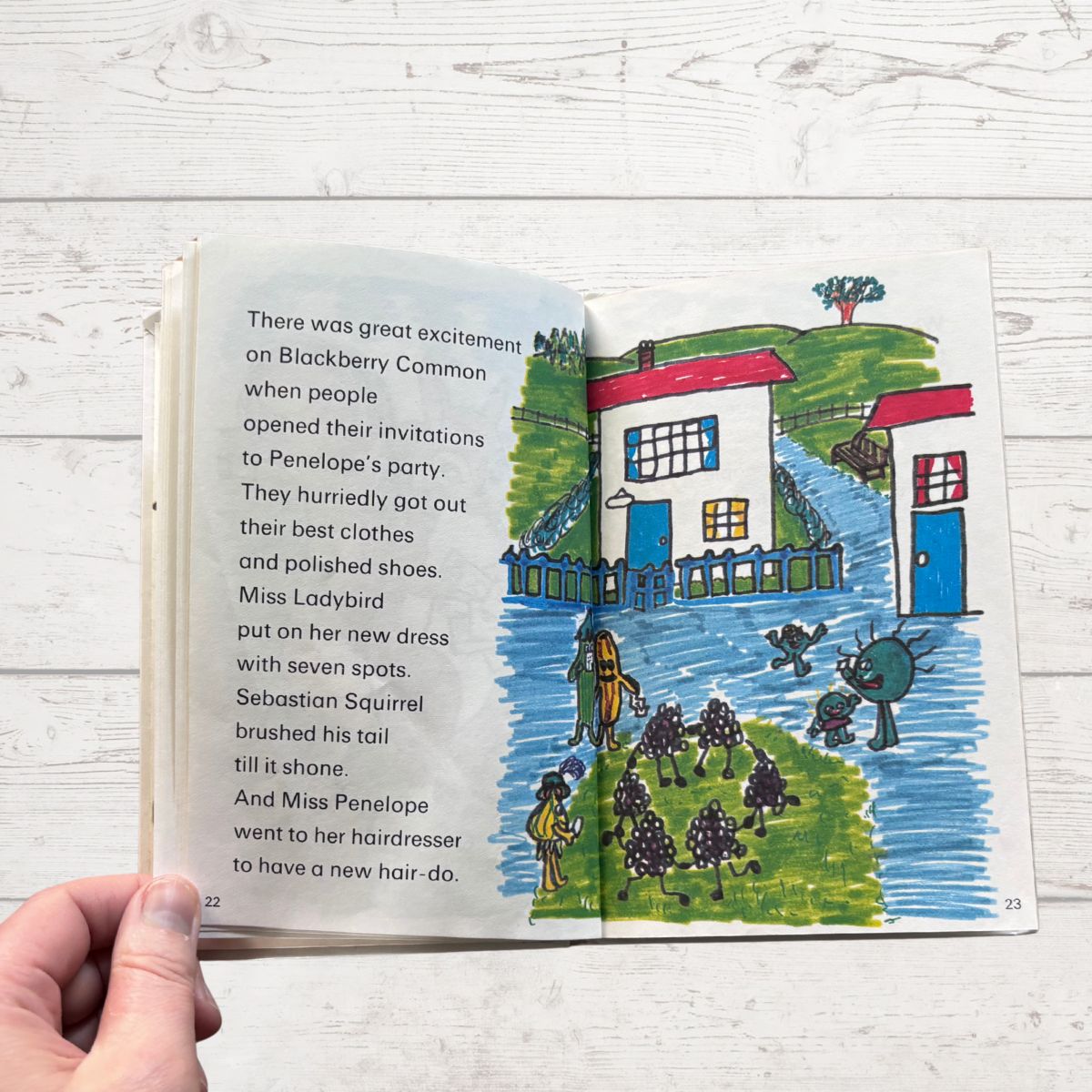 Colourfully illustrated childrens book on a white surface 