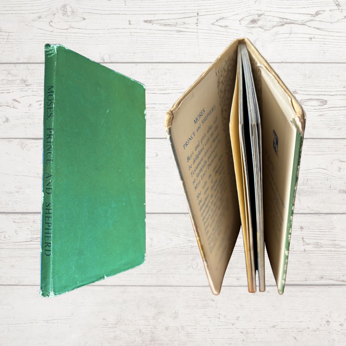 Green book with open pages on a light wooden surface
